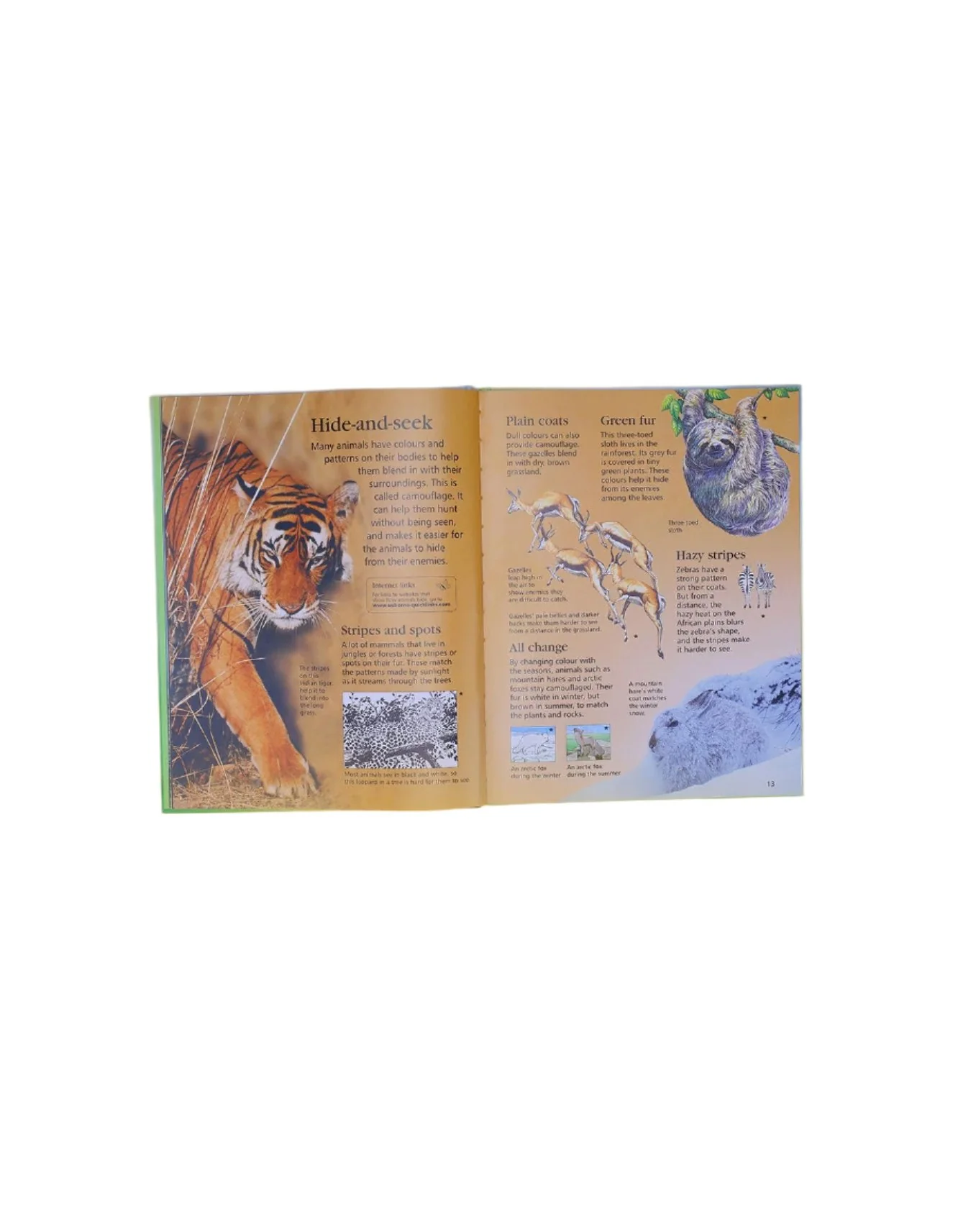 Zubaida's Book: First Encyclopedia of Animals - Image 2