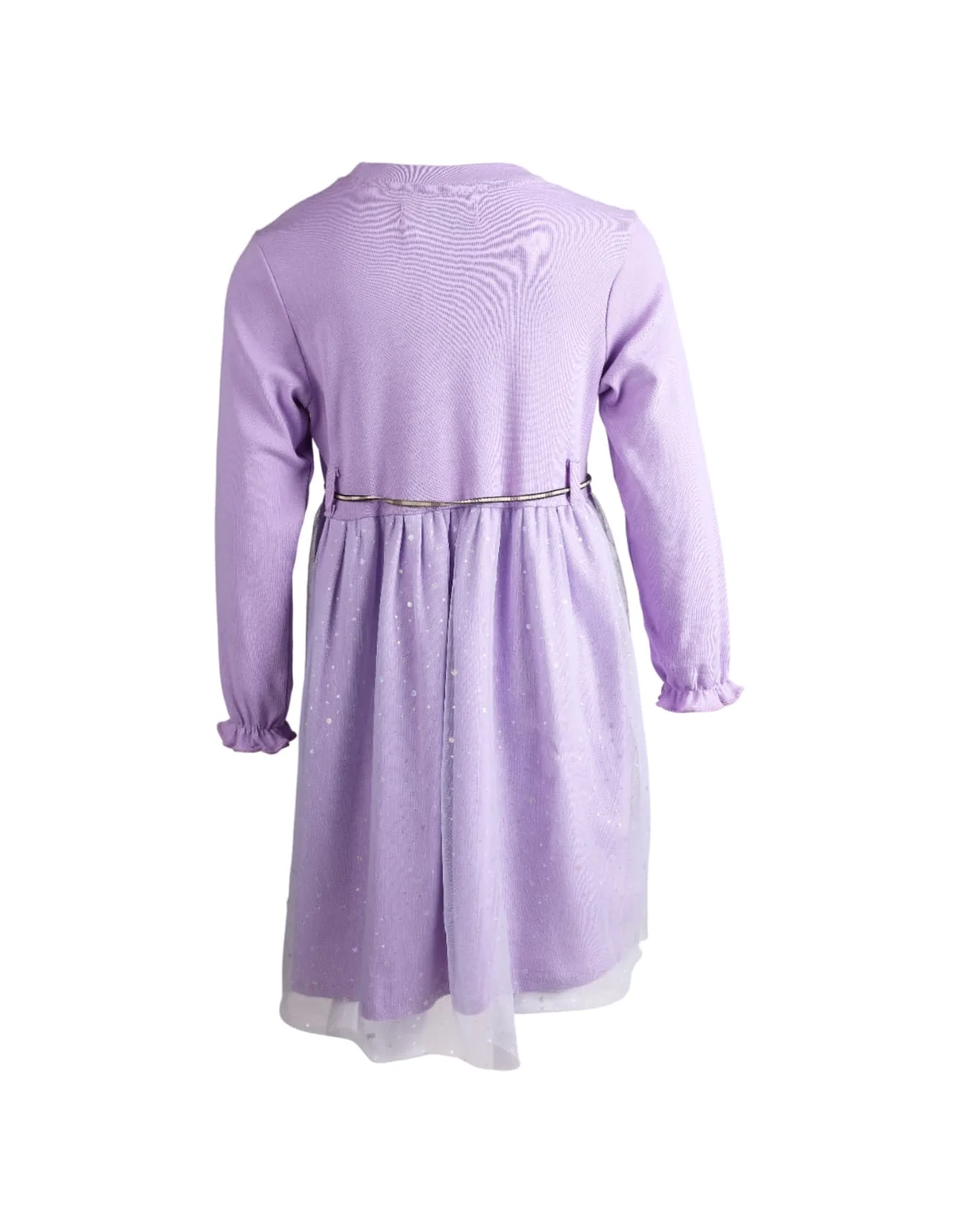Young Girls Fancy Dresses Bambies Glitter Mesh Lilac at Zubaidas - Image 3