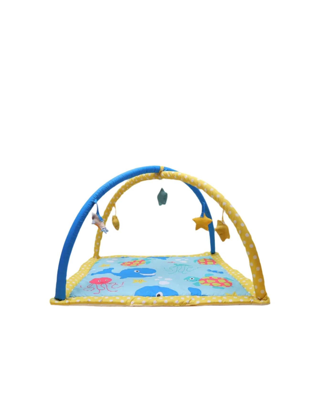 Zubaida's Play Gym Whale Theme