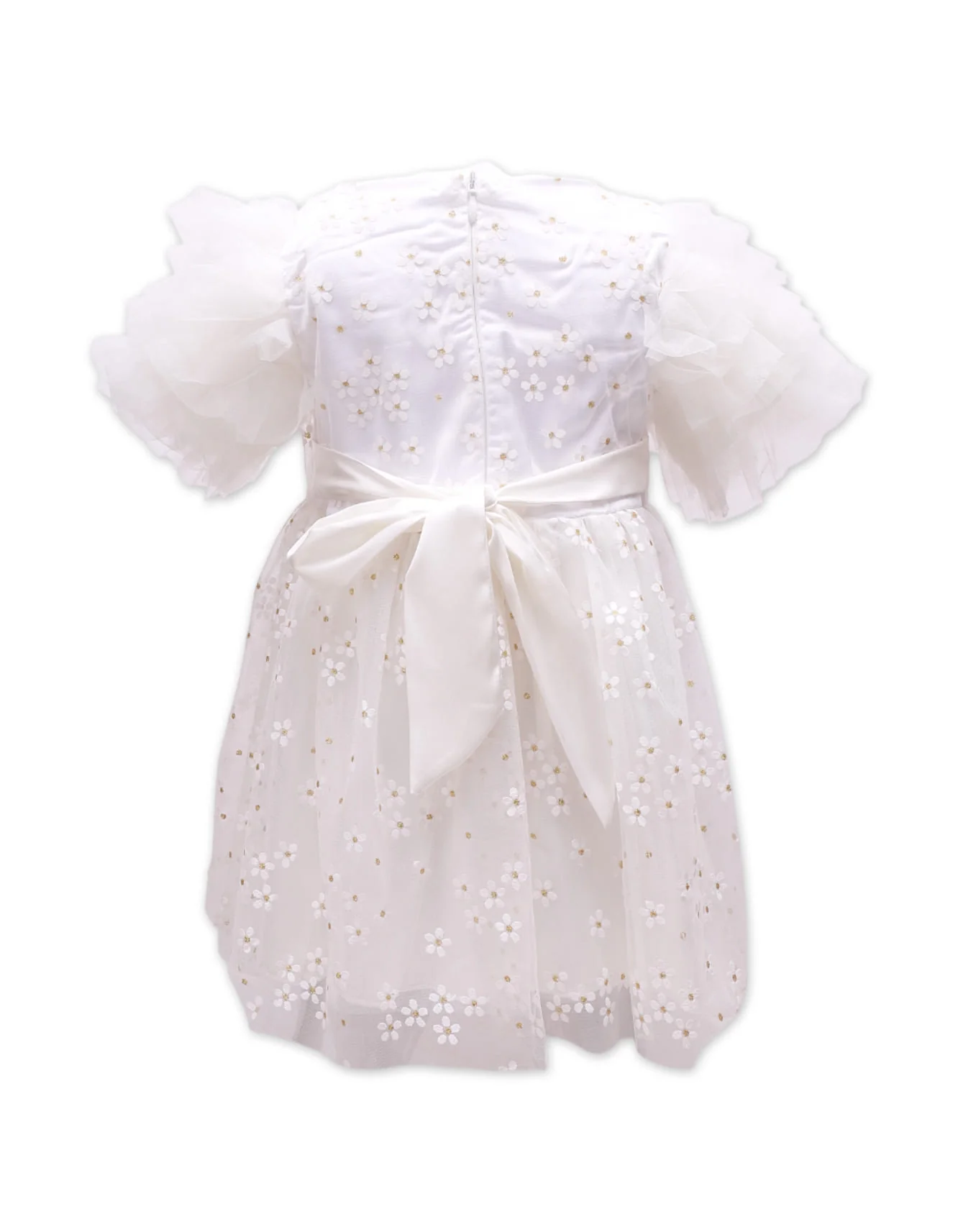 Zubaida's Formal Embroidered Dress - Image 2