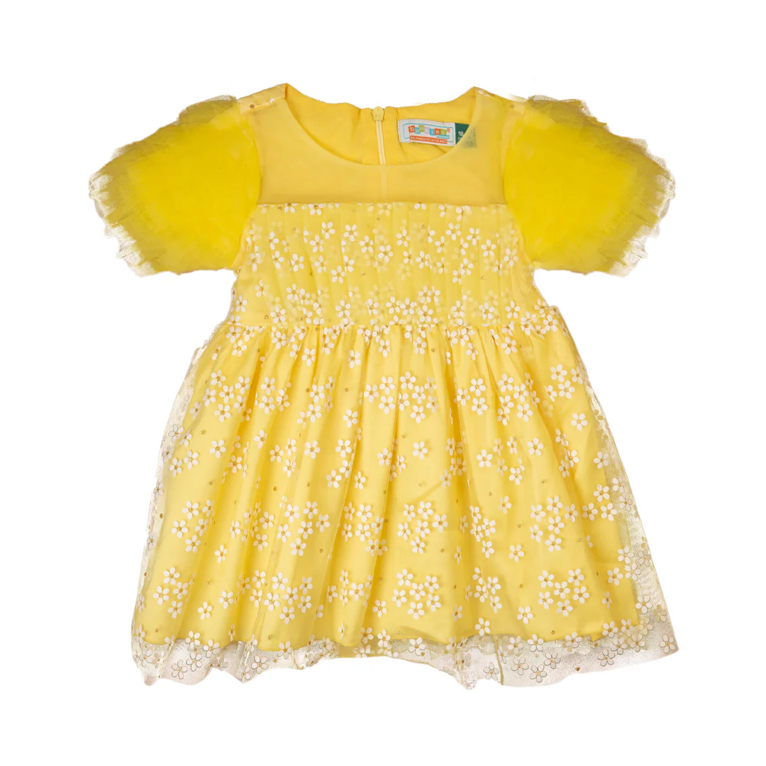 Zubaida's Formal Dress
