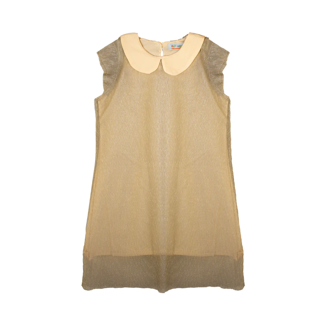 Zubaida's Golden Shimmer Peter Pan Collar Dress