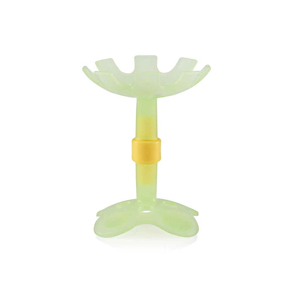 Zubaida's Pigeon Training Teether Step 1 - N79882