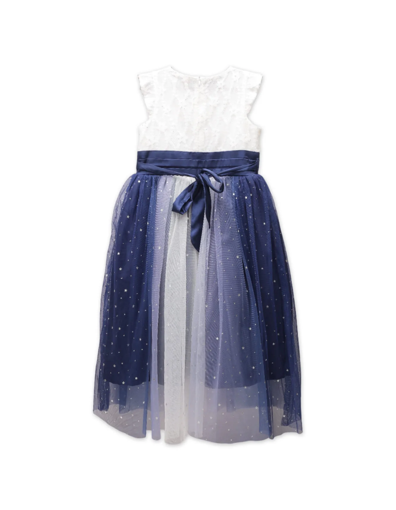 Zubaida's Shimmery Sleeveless Party Dress - Image 3